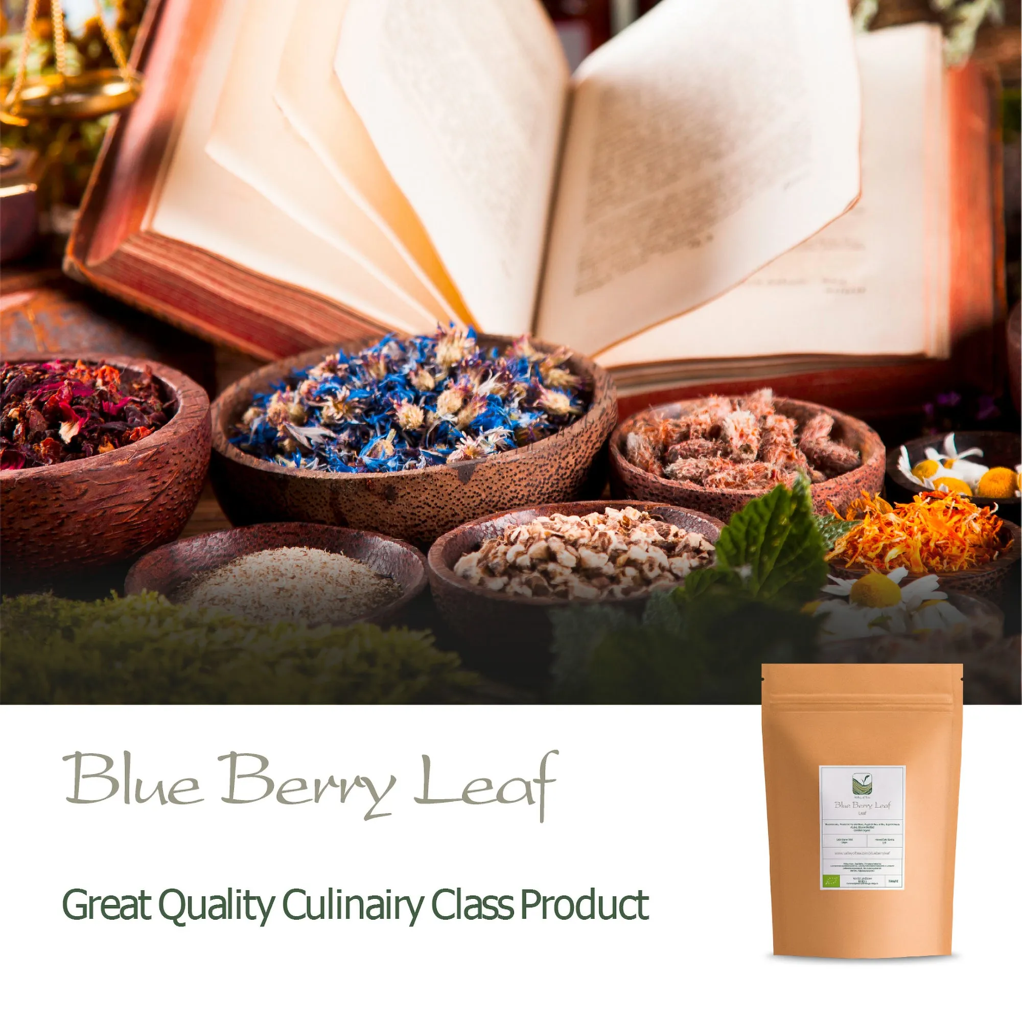 Blue Berry Leaf